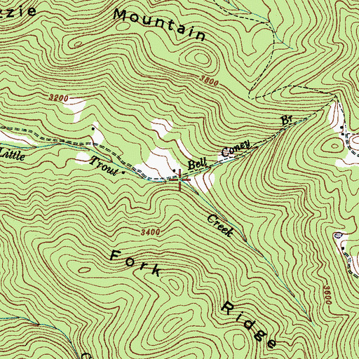 Topographic Map of Bell Coney Branch, NC
