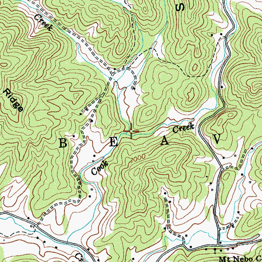 Topographic Map of Bell Creek, NC