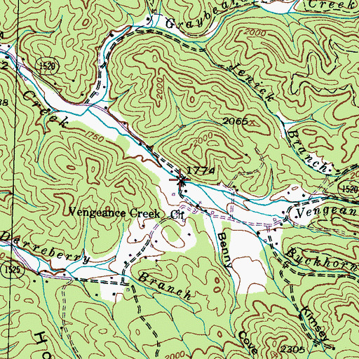 Topographic Map of Benny Cove, NC