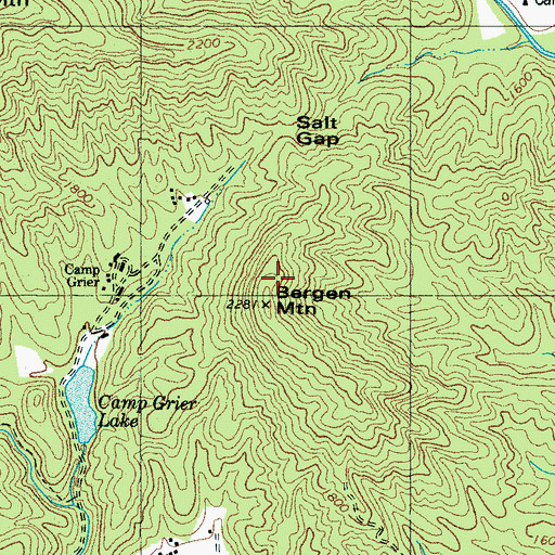 Topographic Map of Bergen Mountain, NC
