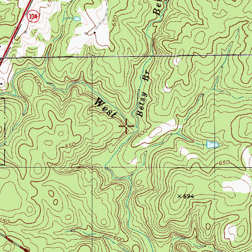 Topographic Map of Betsy Branch, NC