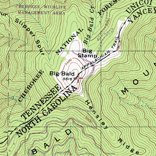 Topographic Map of Big Bald, NC