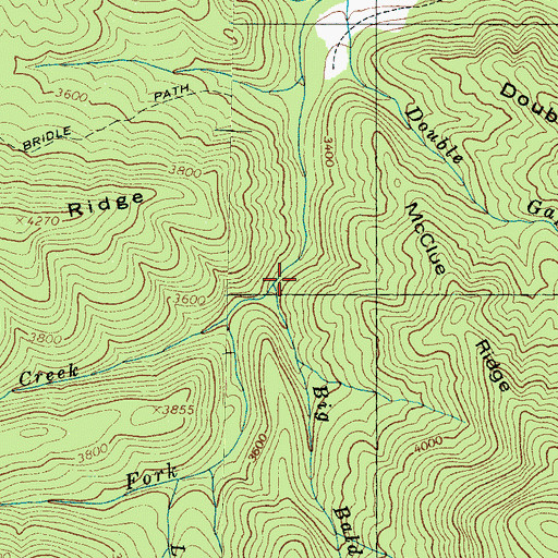 Topographic Map of Big Bald Branch, NC