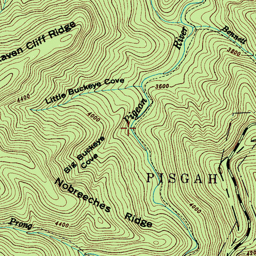 Topographic Map of Big Buckeye Cove, NC