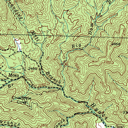 Topographic Map of Big Dam Branch, NC