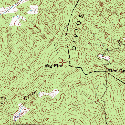 Topographic Map of Big Flat, NC