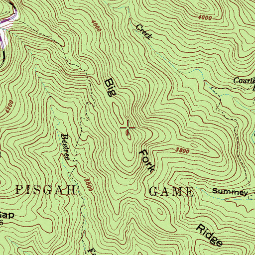 Topographic Map of Big Fork Ridge, NC