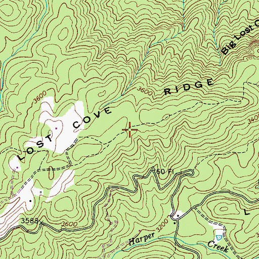 Topographic Map of Big Lost Cove Ridge, NC