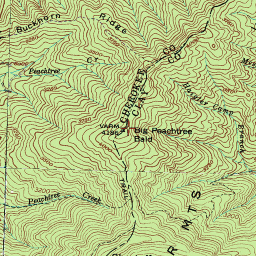 Topographic Map of Big Peachtree Bald, NC
