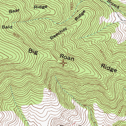 Topographic Map of Big Roan Ridge, NC