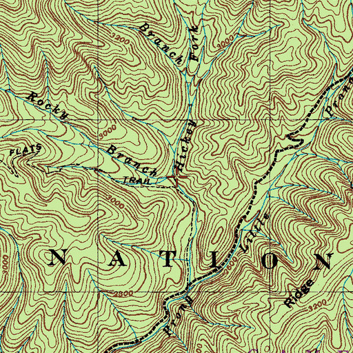 Topographic Map of Big Rocky Branch, NC
