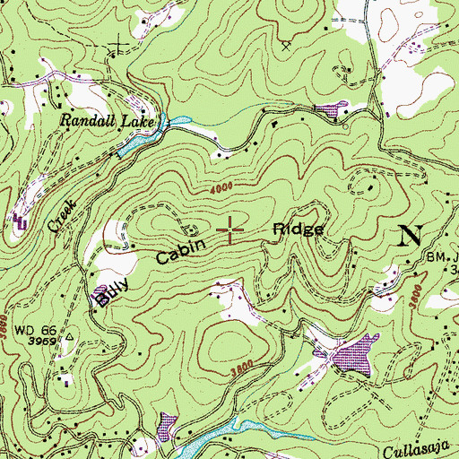 Topographic Map of Billy Cabin Ridge, NC