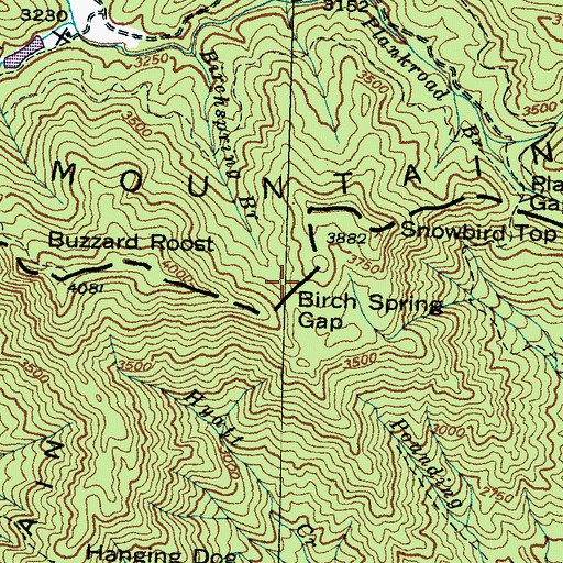 Topographic Map of Birch Spring Gap, NC