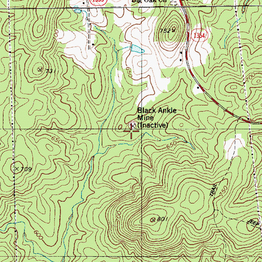 Topographic Map of Black Ankle Mine, NC