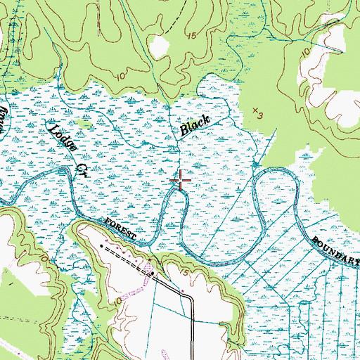 Topographic Map of Black Creek, NC