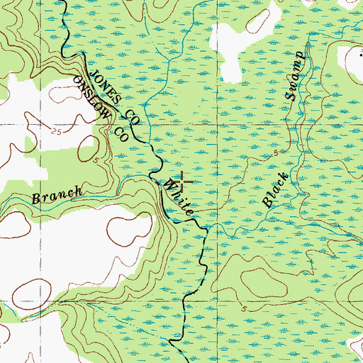 Topographic Map of Black Swamp Creek, NC