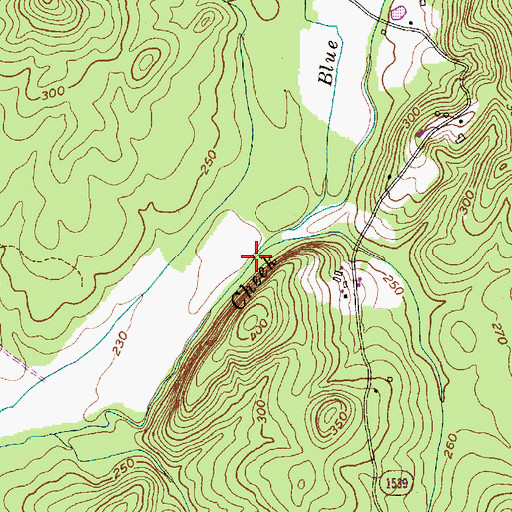 Topographic Map of Blue Branch, NC