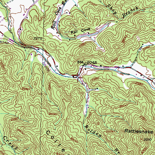 Topographic Map of Bolden Branch, NC