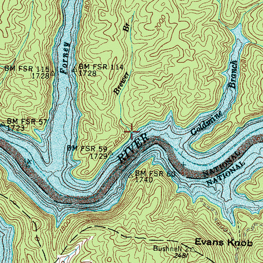 Topographic Map of Brewer Branch, NC