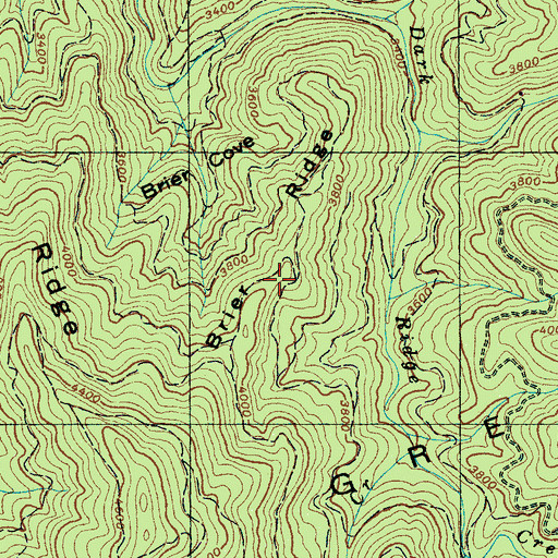 Topographic Map of Brier Ridge, NC