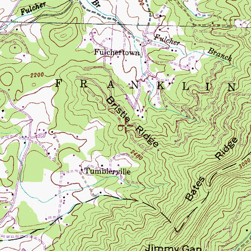 Topographic Map of Bristle Ridge, NC
