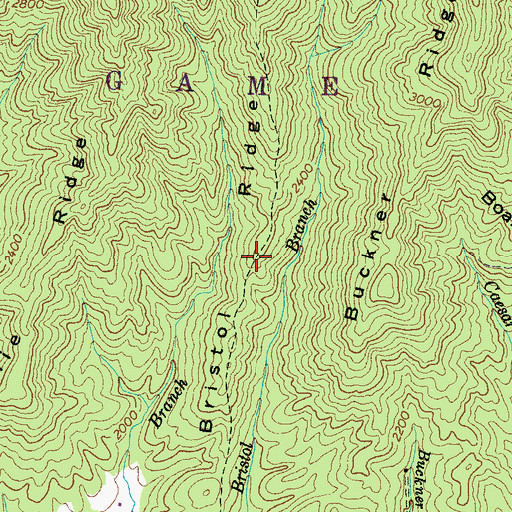 Topographic Map of Bristol Ridge, NC
