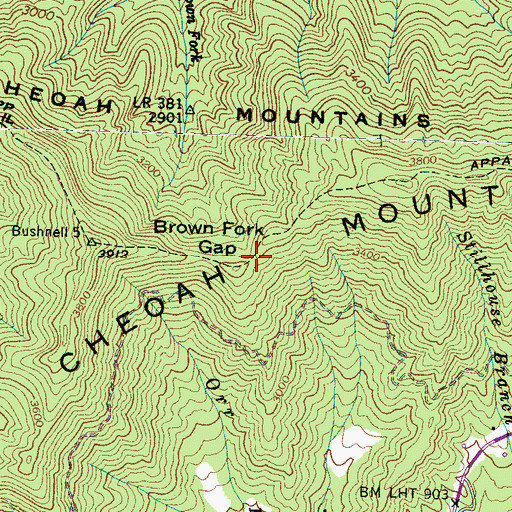 Topographic Map of Brown Fork Gap, NC