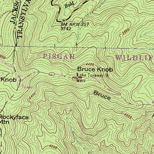 Topographic Map of Bruce Knob, NC