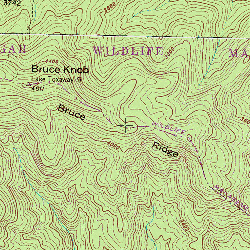 Topographic Map of Bruce Ridge, NC