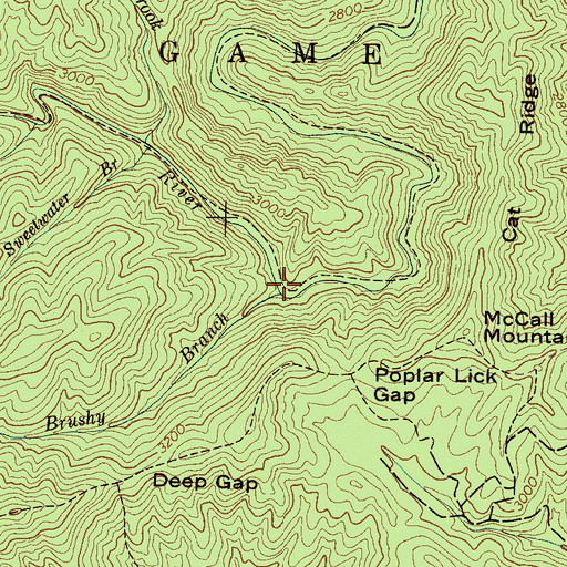 Topographic Map of Brushy Branch, NC