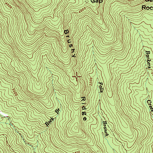Topographic Map of Brushy Ridge, NC