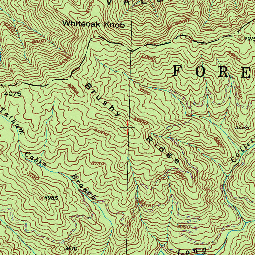 Topographic Map of Brushy Ridge, NC