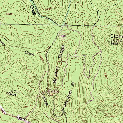 Topographic Map of Brushy Ridge, NC