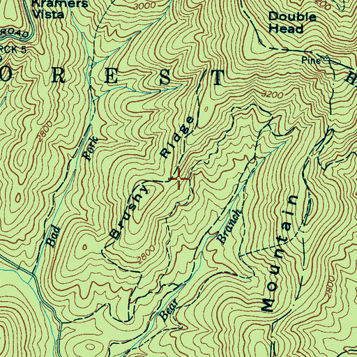 Topographic Map of Brushy Ridge, NC