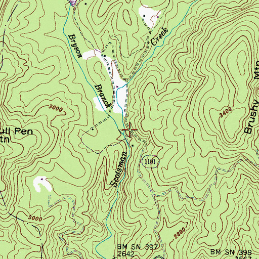 Topographic Map of Bryson Branch, NC