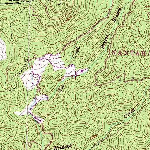 Topographic Map of Bryson Branch, NC