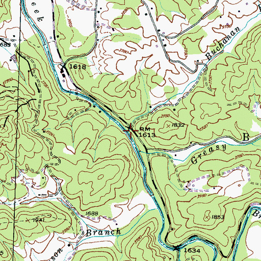 Topographic Map of Buchanan Branch, NC