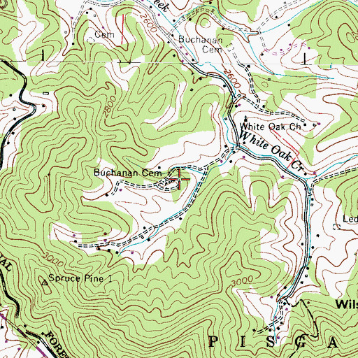 Topographic Map of Buchanan Cemetery, NC