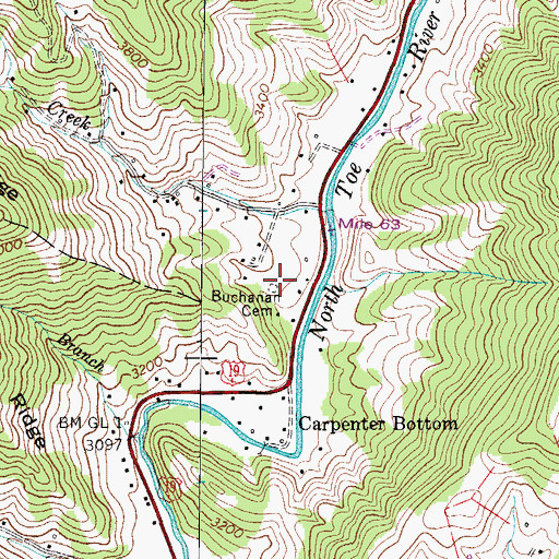 Topographic Map of Buchanan Cemetery, NC