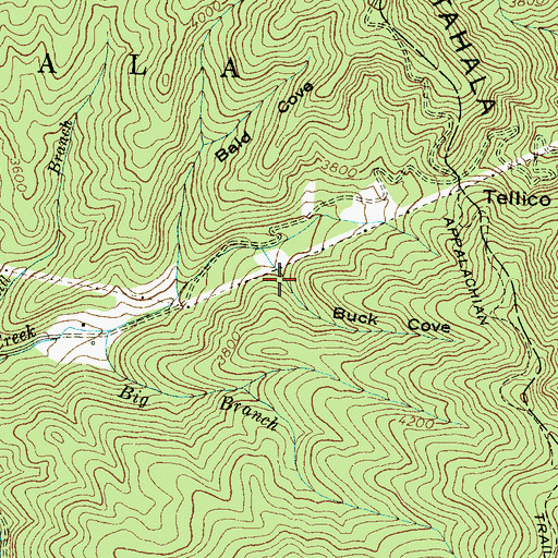 Topographic Map of Buck Cove, NC
