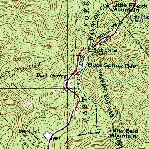 Topographic Map of Buck Spring, NC