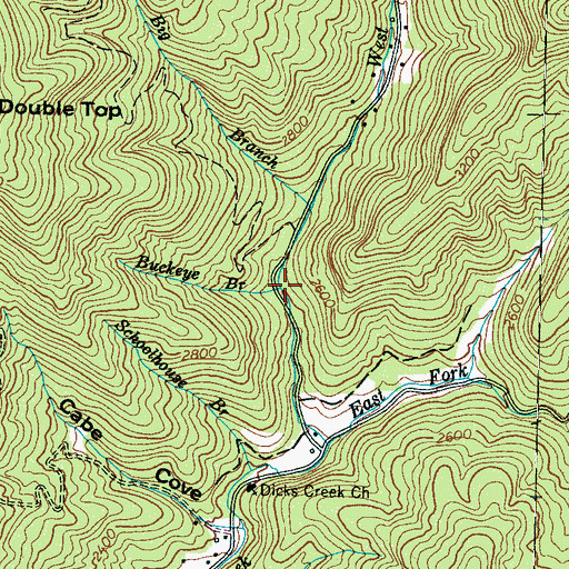 Topographic Map of Buckeye Branch, NC