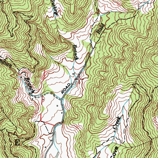 Topographic Map of Buckeye Branch, NC