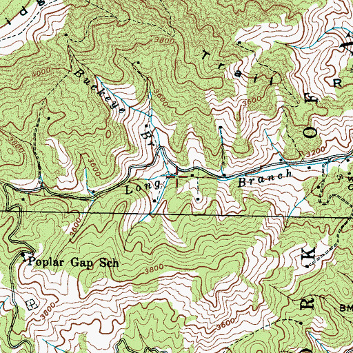 Topographic Map of Buckeye Branch, NC