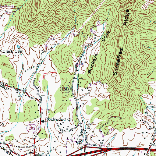 Topographic Map of Buckeye Cove, NC