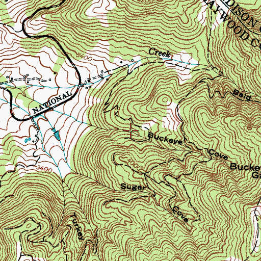 Topographic Map of Buckeye Cove, NC