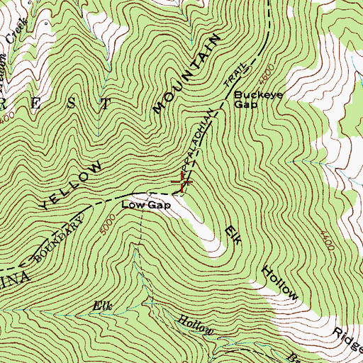 Topographic Map of Buckeye Gap, NC