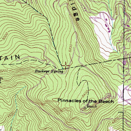 Topographic Map of Buckeye Spring, NC