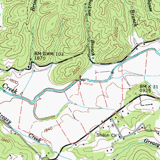 Topographic Map of Buckner Branch, NC