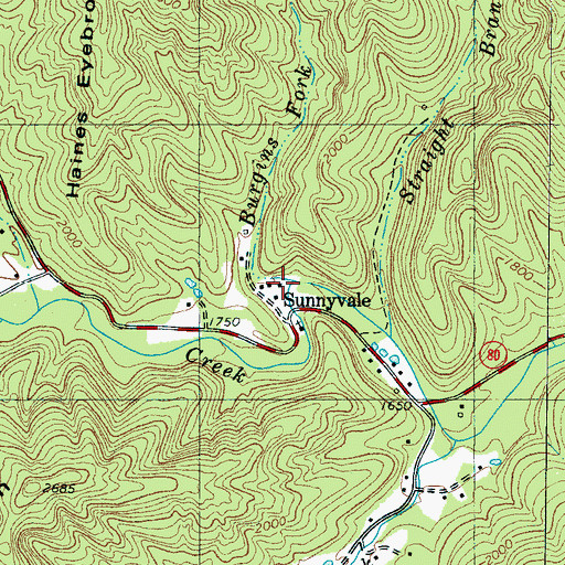 Topographic Map of Burgins Fork, NC
